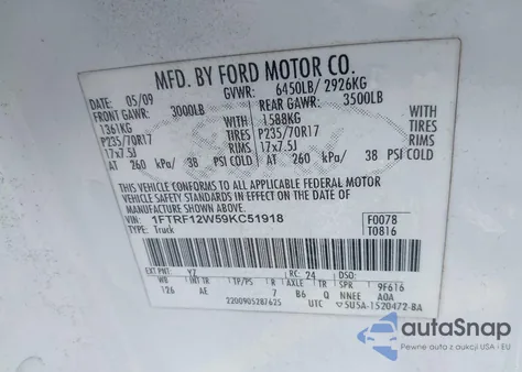 2009 Ford F-150 Stx/Xl/Xlt z USA, uszkodzony, nr VIN 1FTRF12W59KC51918